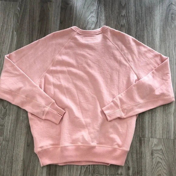 NWT The Great. College Alpine Graphic Sweatshirt in Cameo Pink XS - Picture 7 of 7